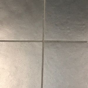 Meet your Posher, Lexi